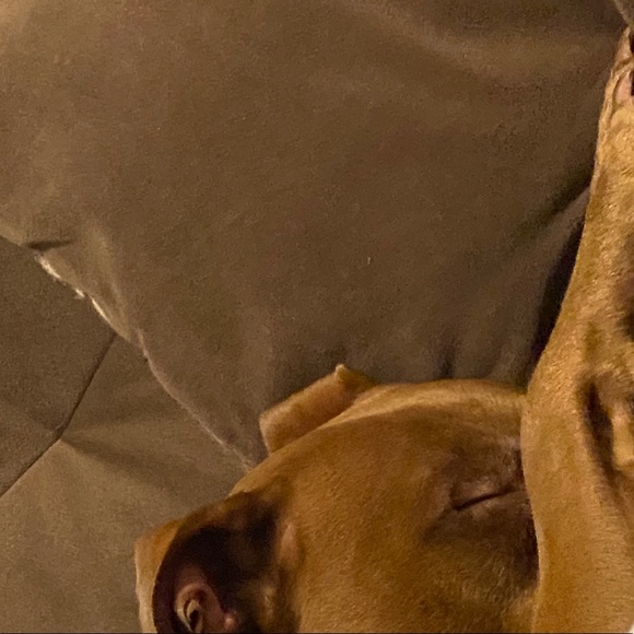 Meet your Posher, Kaleigh - Picture 1 of 1